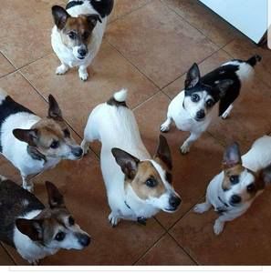 Meet your Posher, Carol